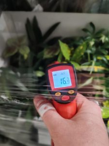 Температурные правила перевозки растений и цветов в рефрижераторах Температурный режим при перевозке растений и цветов в рефрижераторах