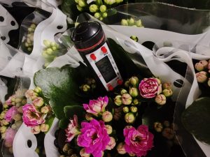 Температурный режим при перевозке растений и цветов в рефрижераторах